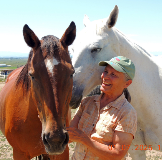 A woman in a light green cap and plaid shirt stands outdoors, smiling as she gently touches the face of a brown horse. A white horse stands close behind her, with a clear blue sky and open fields in the background.