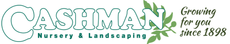Cashman Nursery
